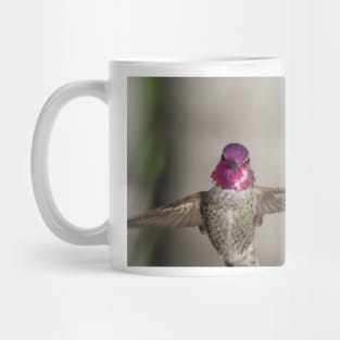 Anna's Hummingbird Mug